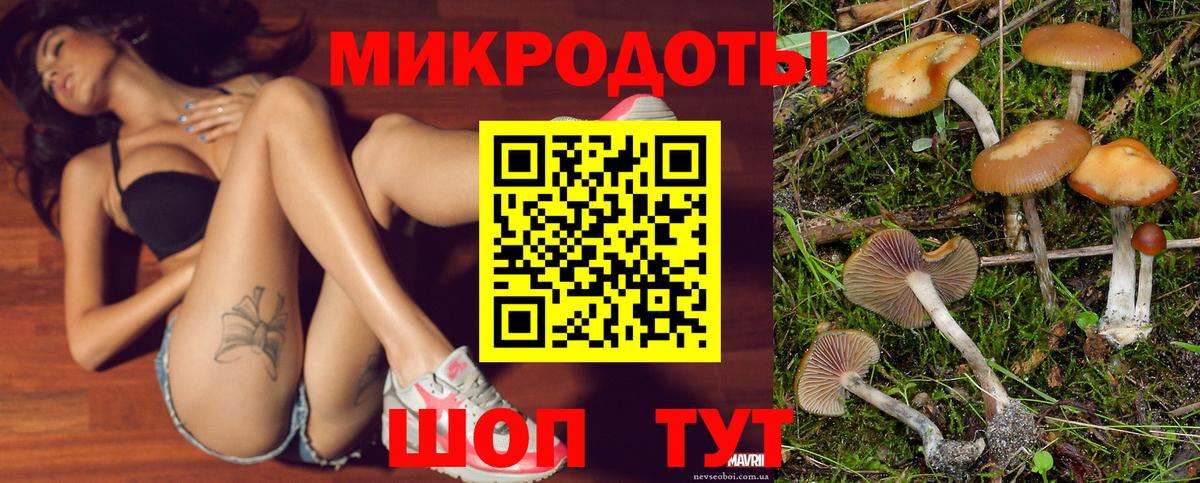 Псилоцибиновые грибы прущие грибы Валуйки